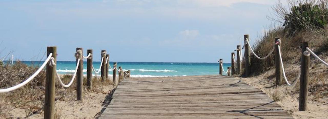 [Titre du site] OLIPLAGE: De belles vacances à l'ombre d'un olivier majestueux - Un appartement d'exception...