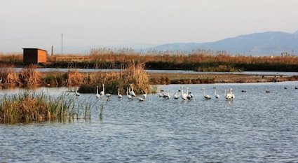 [Titre du site] OLIPLAGE en images .... et en vidéos